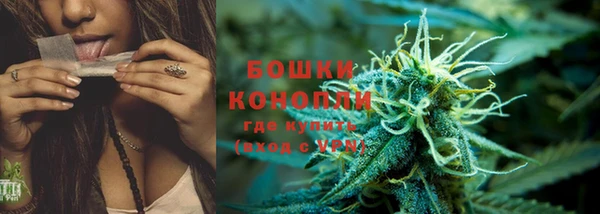 PSILOCYBIN Алзамай
