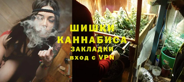 PSILOCYBIN Алзамай