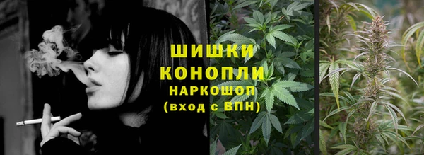 соль ск Алексин