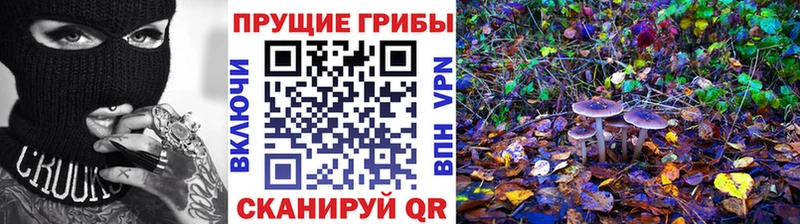 Псилоцибиновые грибы ЛСД  хочу наркоту  Старый Оскол 