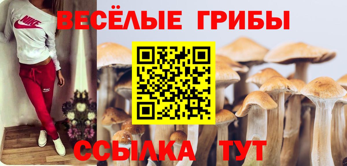 Галлюциногенные грибы Psilocybe Старый Оскол