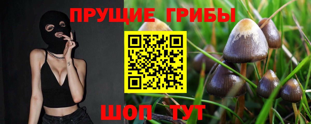 Псилоцибиновые грибы ЛСД  Вход с VPN  Старый Оскол  Галлюциногенные грибы Magic Shrooms 
